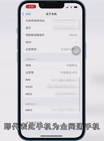 苹果手机手机三网通怎么查