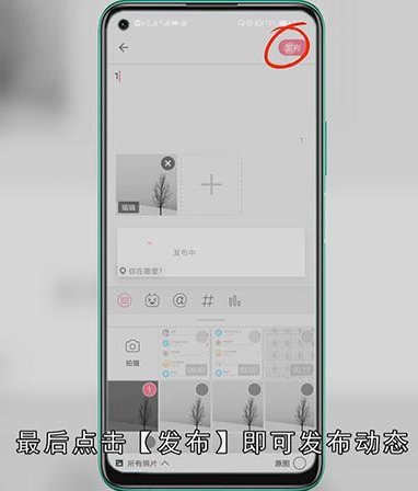 b站发动态怎么发