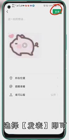 微信朋友圈可以发gif动图吗
