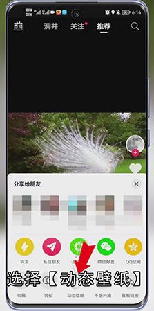 抖音动态壁纸怎么设置