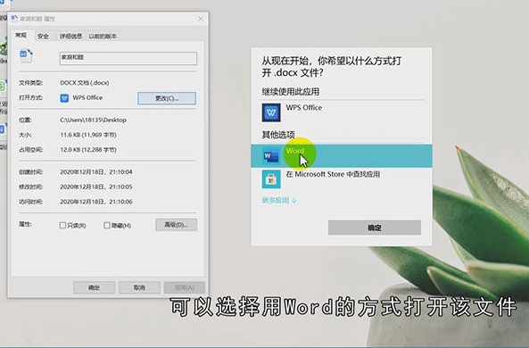 怎么看出文档是wps还是word