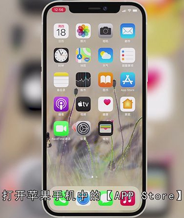 怎么下载一甜相机