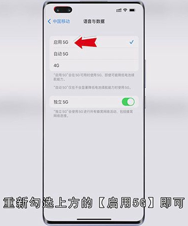 苹果怎么关5G