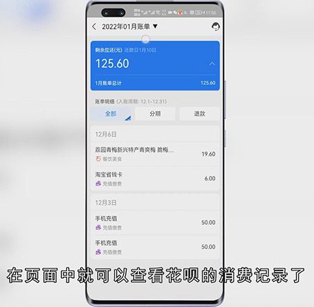 怎么看花呗消费记录