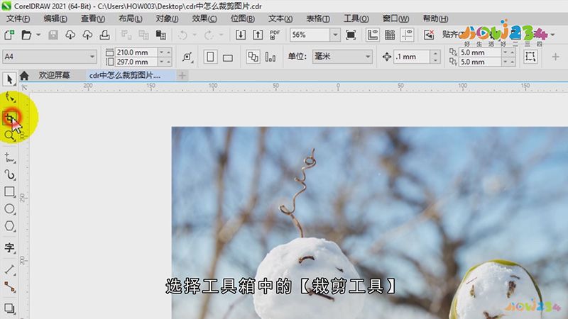 cdr中怎么裁剪图片