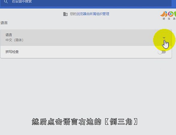谷歌网页翻译怎么设置