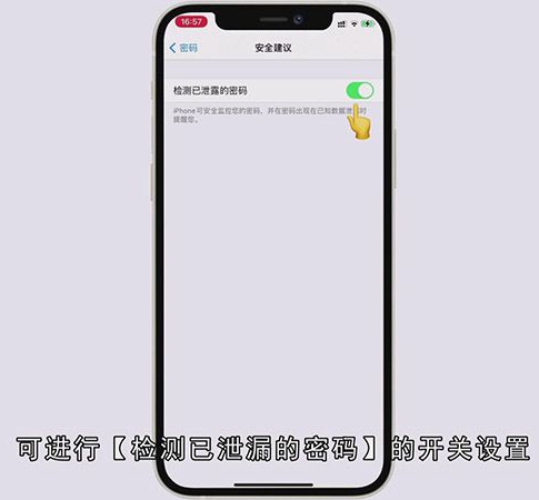 苹果自动填充密码怎么设置