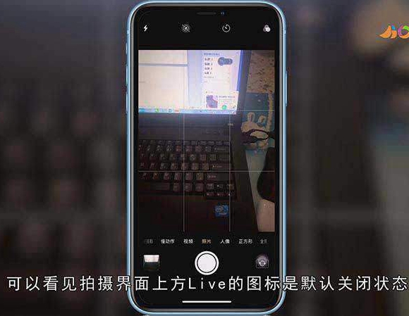 苹果实况照片是什么意思