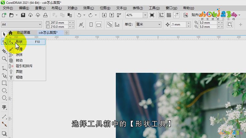 cdr怎么裁剪