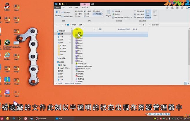 如何显示隐藏的文件