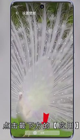 抖音动态壁纸怎么设置