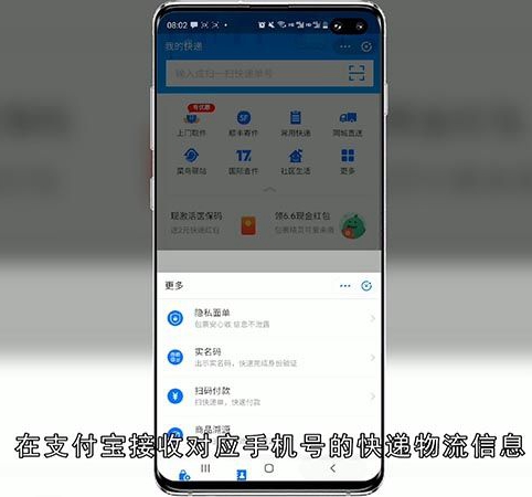 输入手机号怎么查快递