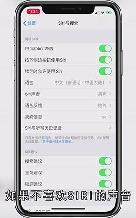 苹果手机的语音助手叫什么