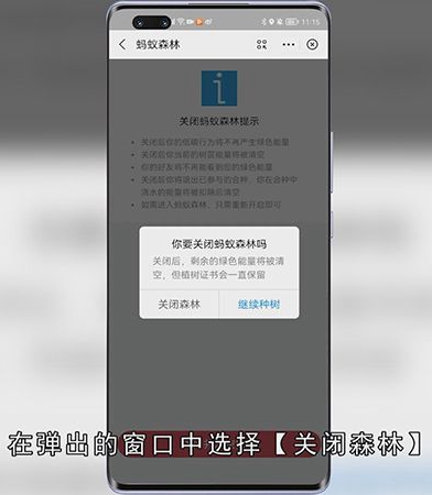 支付宝蚂蚁森林如何关闭