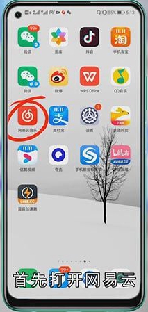 网易云怎么调倍速?
