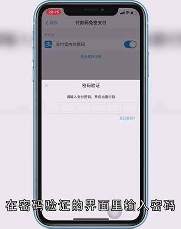 怎么设置淘宝免密支付