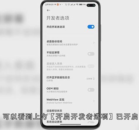 开发者模式怎么开