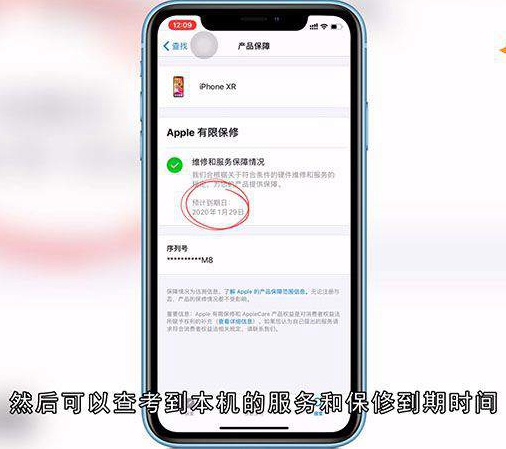 苹果的激活时间怎么查询
