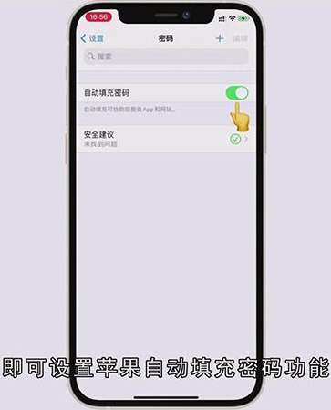 苹果自动填充密码怎么设置