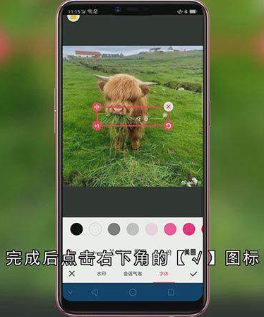 美图秀秀写字怎么操作