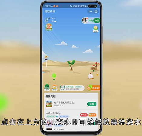 蚂蚁森林怎么浇水