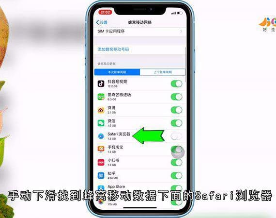 safari接入互联网怎么设置
