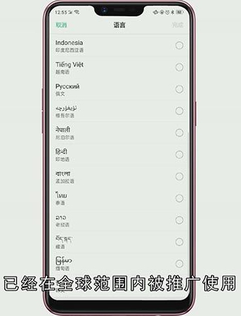 coloros是什么意思