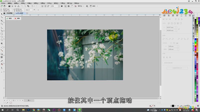 cdr怎么裁剪
