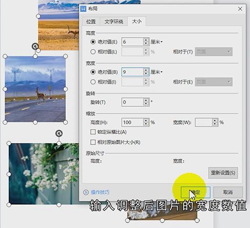 wps里图片怎么统一调大小