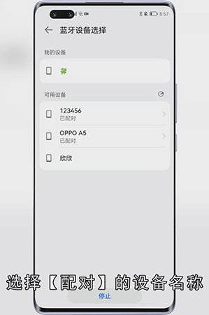 电话号码怎么导入新手机