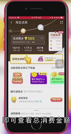 怎么查淘宝消费总金额