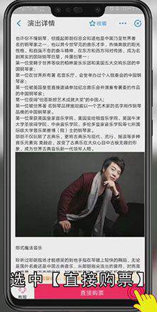 怎样订支付宝音乐会门票