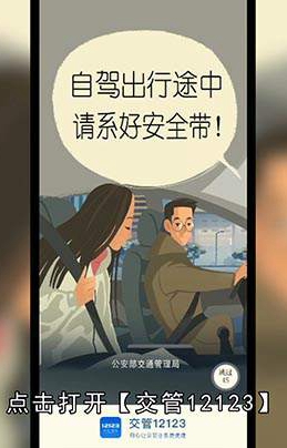 手机怎么查驾照分