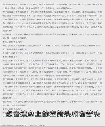 pdf如何像ppt一样播放