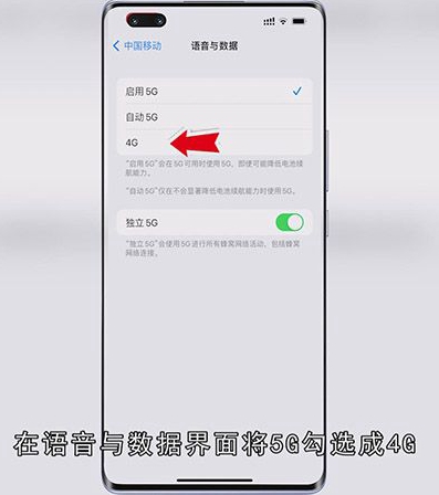 苹果怎么关5G