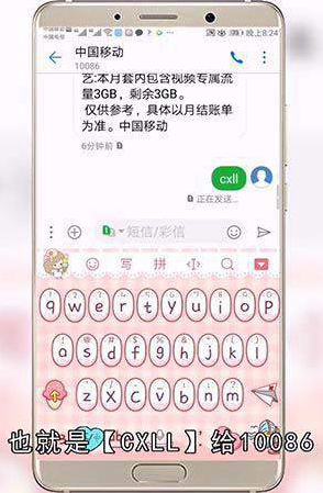 怎么查手机流量