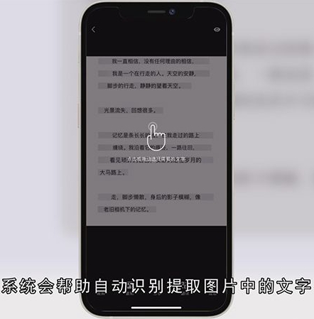 小红书怎么复制文字