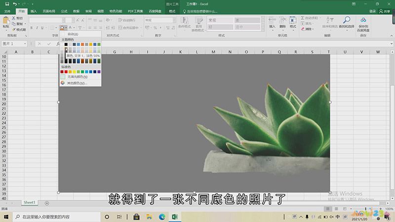 Excel改变照片底色