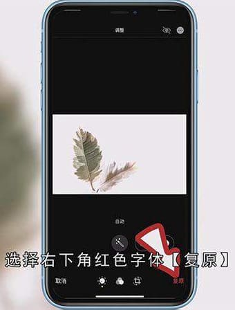 苹果手机怎么镜像照片