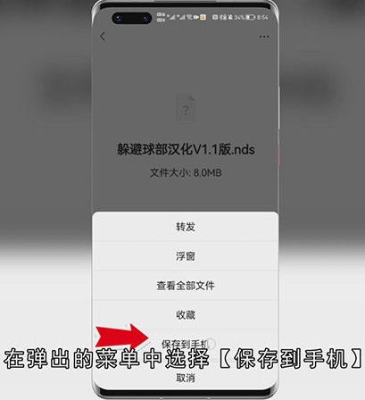 安卓手机如何打开.nds文件