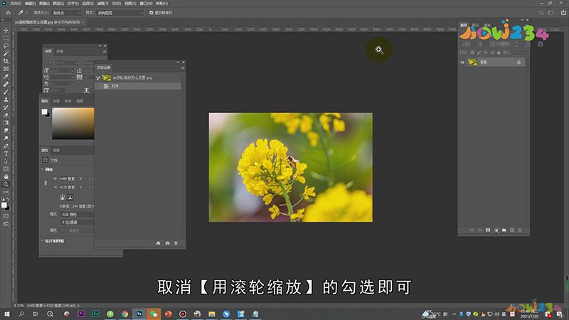 PS滚轮缩放怎么设置