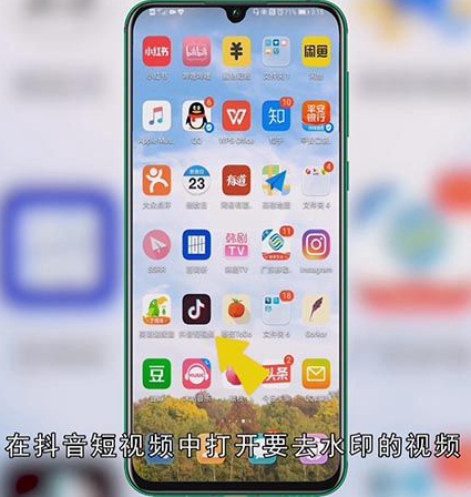 抖音怎么取消水印设置
